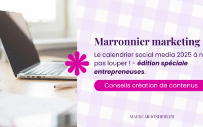 Le calendrier social media 2025 à ne pas manquer pour développer ta visibilité et ton engagement – édition spéciale entrepreneures.